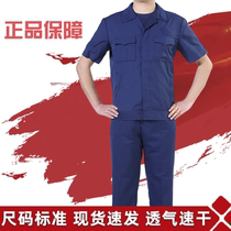 New backup service autumn and winter jacket suit blue summer short-sleeved spring and autumn long-sleeved suit mens and womens work clothes