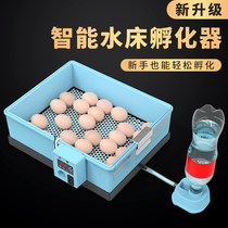 Water Bed Incubators Hatching Egg Machine Foam Box Fully Automatic Smart Small Home Type Luding Chicken Parrot Duck Egg Breaking Shell