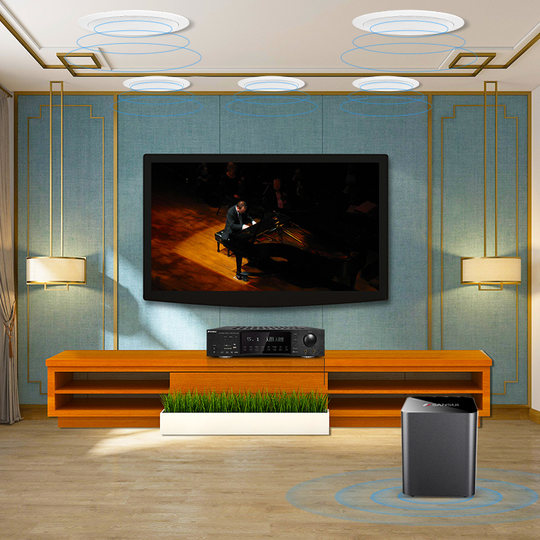 山水T5吸顶式5.1家庭吊顶天花影院音响套装音响家用客厅环绕7.1