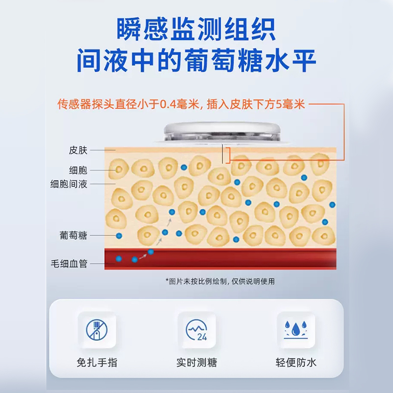  天猫国际自营全球超级店血糖用品