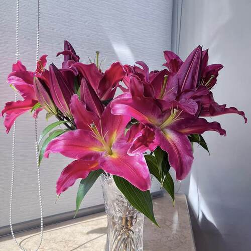 红色香水百合鲜花插花云南基地直发客厅摆设供佛水养真花氛围装饰 - 图1