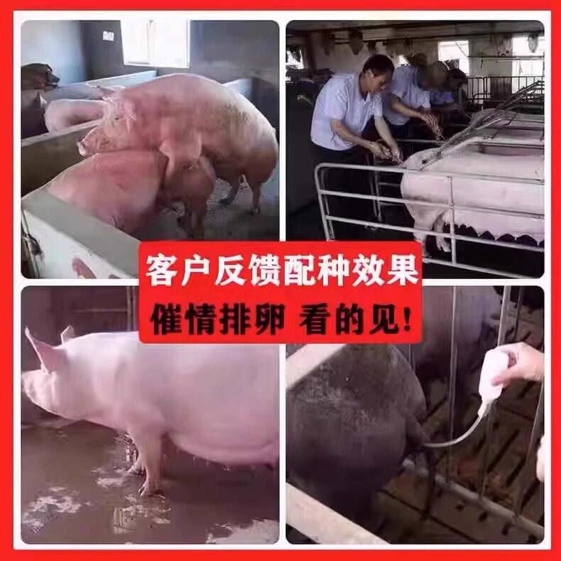 母猪发情的药兽用发情配种粉猪牛羊马诱情剂促孕促发情排卵多胎素,淘宝优惠券,粉丝福利购,淘宝优惠卷