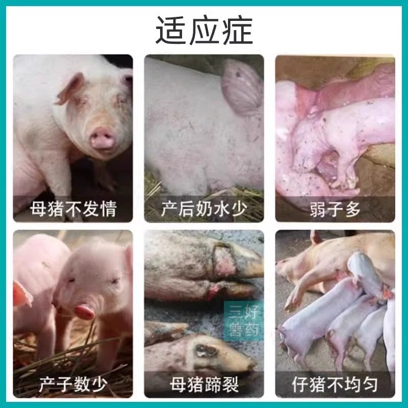 母猪发情的药兽用发情配种粉猪牛羊马诱情剂促孕促发情排卵多胎素,淘宝优惠券,粉丝福利购,淘宝优惠卷