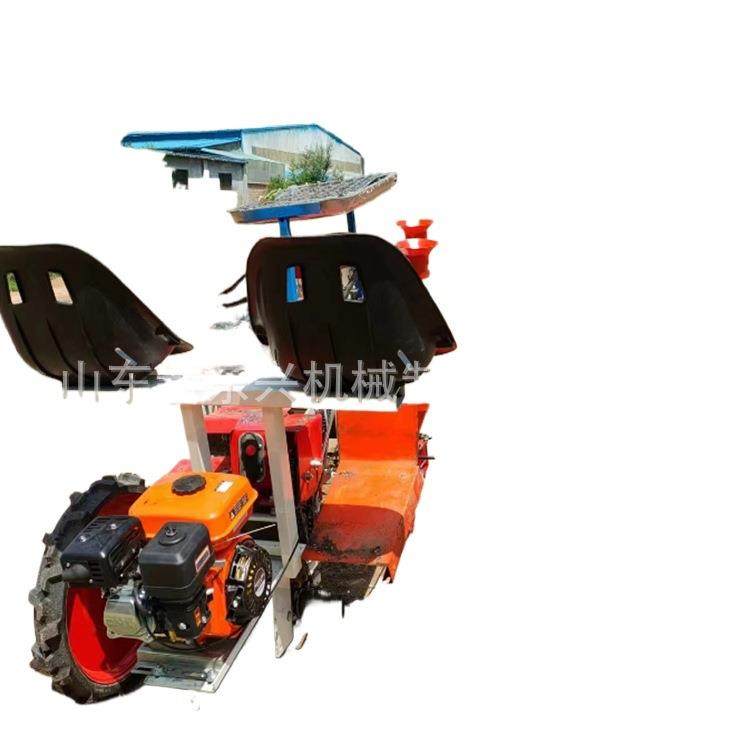辣椒红薯移栽种植机辣椒自走式栽苗机西红柿茄子秧苗移栽机,淘宝优惠券,粉丝福利购,淘宝优惠卷