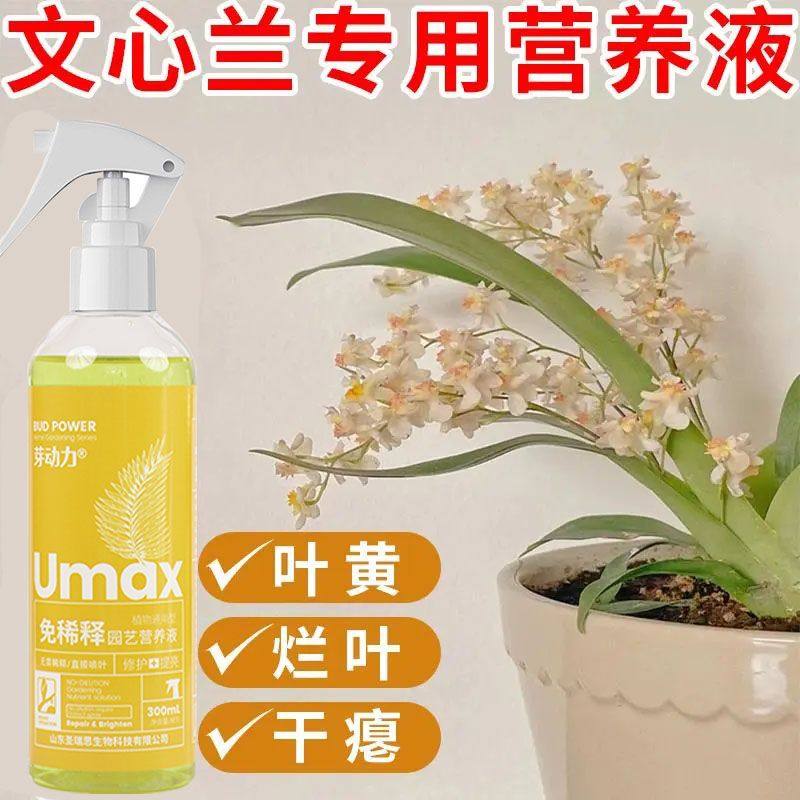 文心兰营养液专治开花慢不开花掉花苞黄叶枯萎免稀释高效液体肥,淘宝优惠券,粉丝福利购,淘宝优惠卷