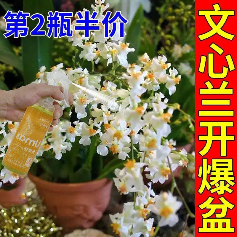 文心兰营养液专治开花慢不开花掉花苞黄叶枯萎免稀释高效液体肥,淘宝优惠券,粉丝福利购,淘宝优惠卷