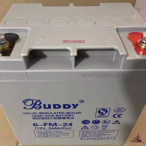 BUDDY宝迪蓄电池6-FM12V24AH38AH65AH100AH直流屏EPSUPS电源消防 - 图0