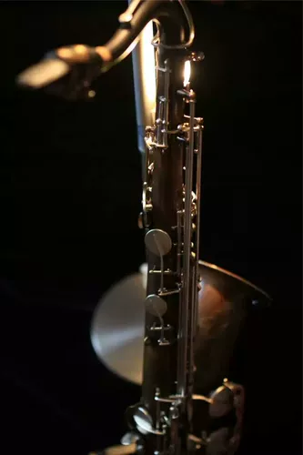 Шанхайский саксофон арендует Shanghai Saxus Leasing Mesday Monthful Основной момент Sakura Sakas Ежегодная конференция