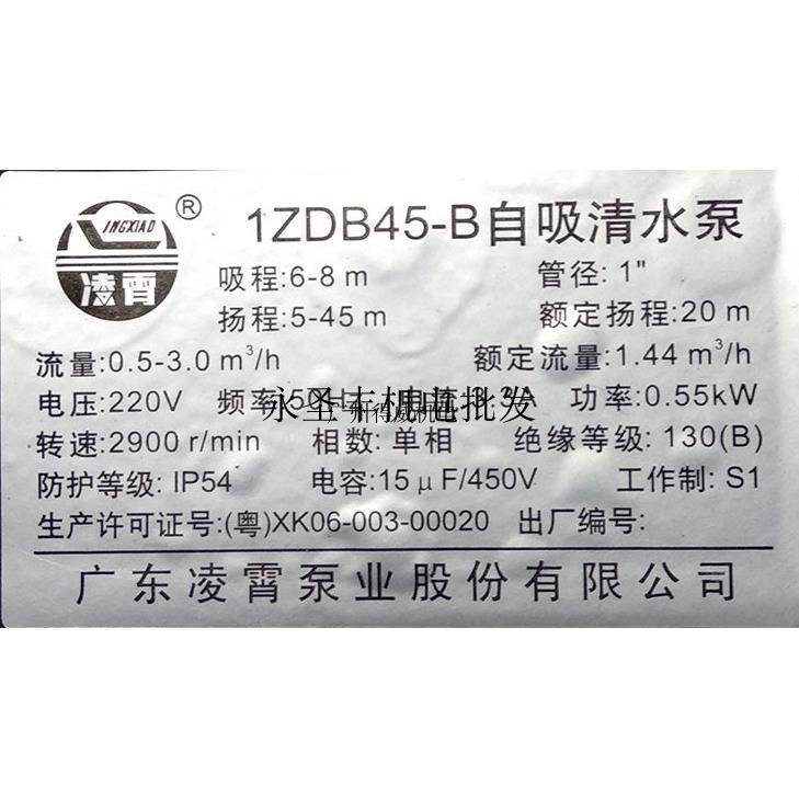 广东凌霄1ZDB35 45 65-B家用自来水抽水机管道增压井水自吸清水泵 - 图0