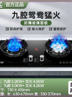 燃气灶双灶家用嵌入式天然气灶台式液化气灶九腔猛火煤气灶