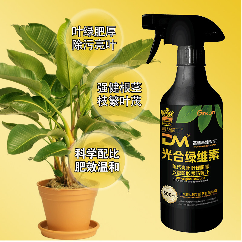 青丛园丁光合绿维素除污靓叶预防黄叶黑叶花卉绿植园艺直喷型,淘宝优惠券,粉丝福利购,淘宝优惠卷