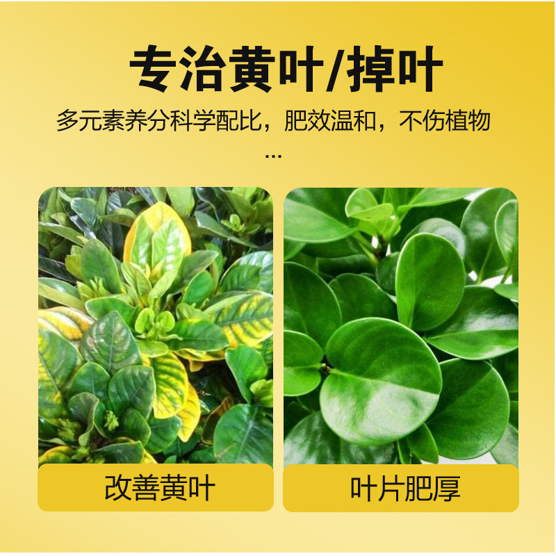 青丛园丁光合绿维素除污靓叶预防黄叶黑叶花卉绿植园艺直喷型,淘宝优惠券,粉丝福利购,淘宝优惠卷