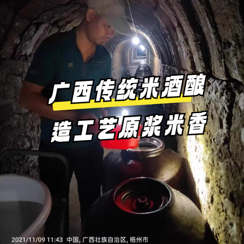 蒙恬青梅酒农家自酿白酒浸泡果酒女士高低度甜酒玻璃瓶装酸梅子酒 - 图2