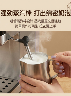 220V欧规espresso machine家用小型咖啡机半自动意式咖啡機110V伏