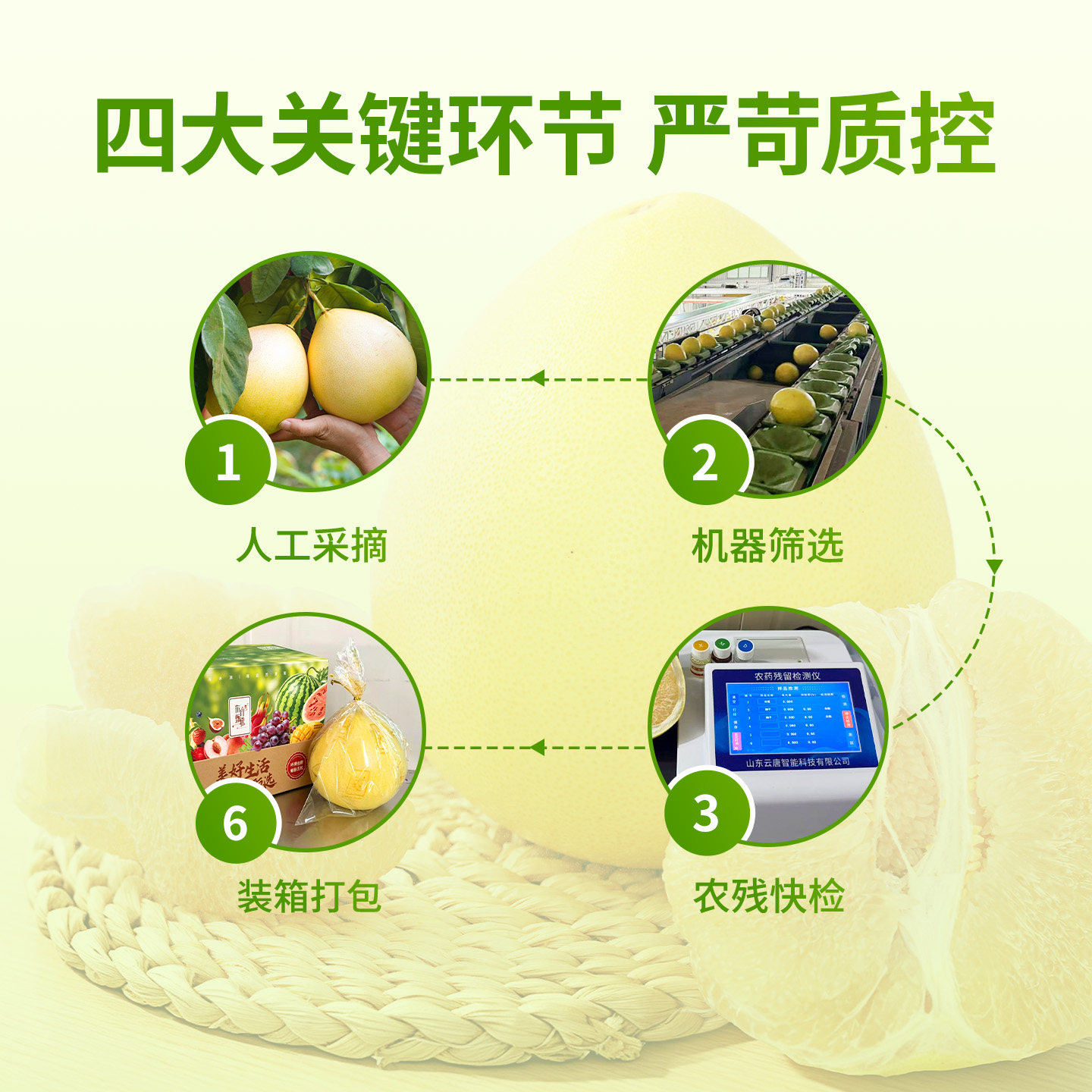 图 4