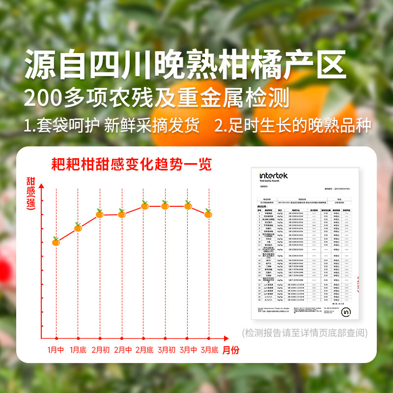 东方甄选四川春见耙耙柑水果新鲜当季整箱时令生鲜顺丰5斤/8斤装