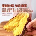 东方甄选榴莲蜜薯红薯黄心地瓜番薯软糯当季新鲜蔬菜3斤/4.5斤装 图片 3