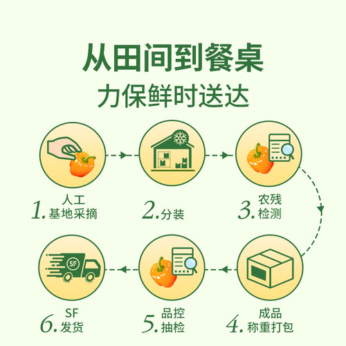 东方甄选彩椒当季新鲜蔬菜时令青菜沙拉凉拌菜农产品家常菜顺丰 - 图1