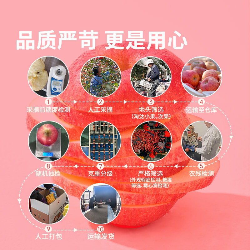 东方甄选洛川苹果水果新鲜当季整箱时令生鲜脆甜多汁过年年货