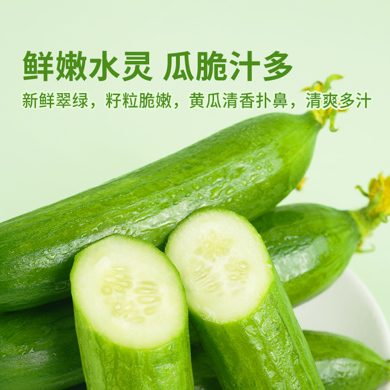 东方甄选水果黄瓜生吃时令生鲜无刺小黄瓜