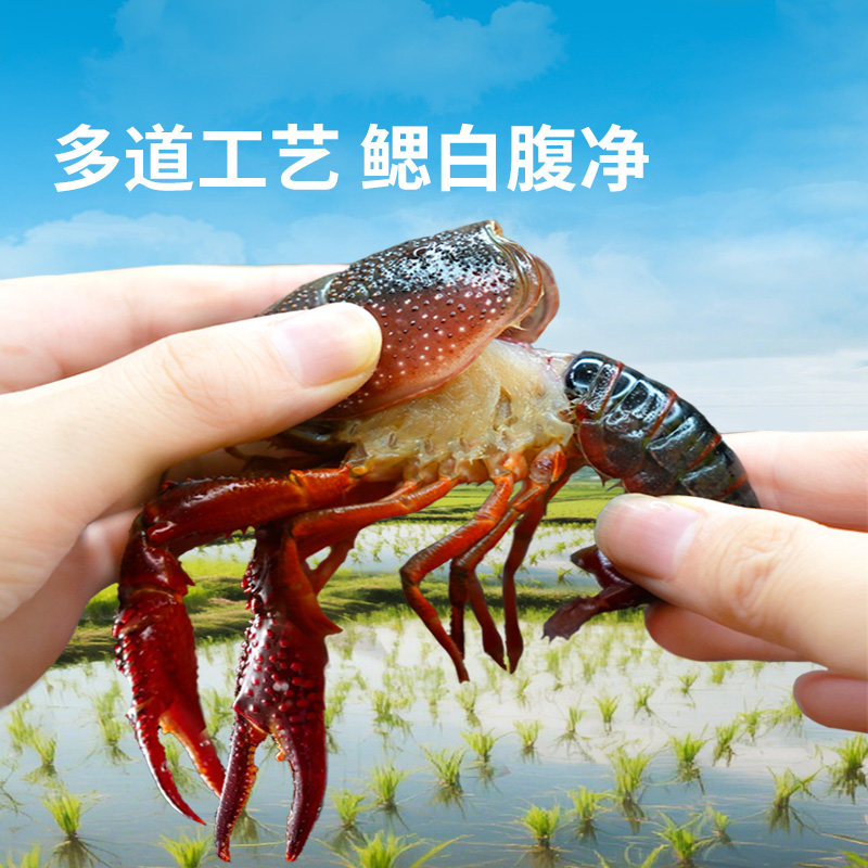 东方甄选小龙虾麻辣蒜蓉速冻食品速食半成品加热即食食品过年年货