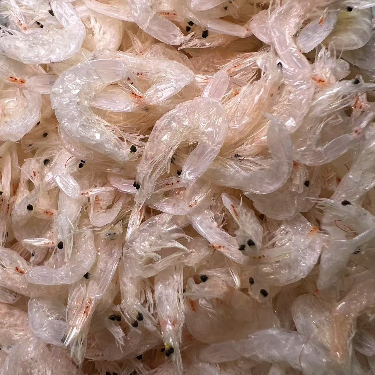 高品质无盐虾皮淡干即食淡晒不咸干毛虾干海鲜水产干货尽管去比 - 图1