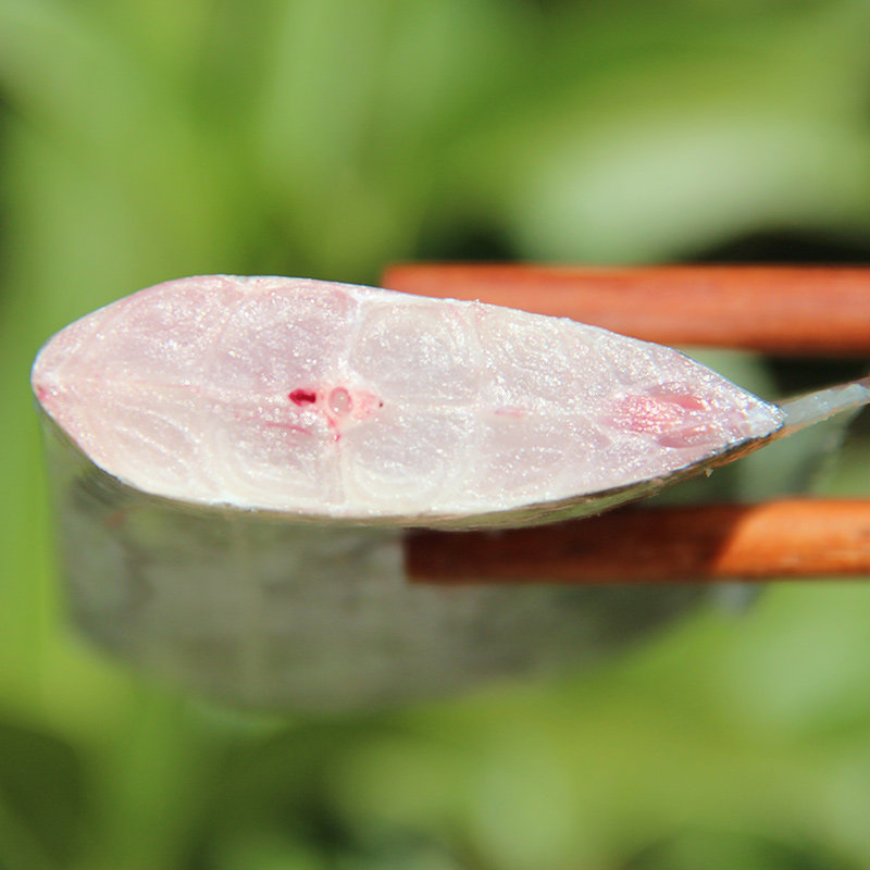 新鲜大带鱼段5斤渤海小眼睛带鱼冷冻东海特级大刀鱼山东整箱,淘宝优惠券,粉丝福利购,淘宝优惠卷