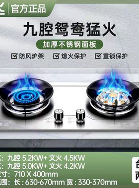 燃气灶双灶家用嵌入式天然气灶台式液化气灶九腔猛火煤气灶