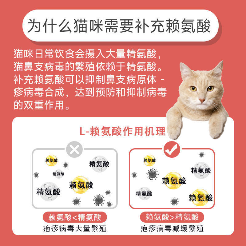 猫鼻支赖氨酸猫用补充维生素狗用打喷嚏流鼻涕猫胺补充营养膏 - 图3