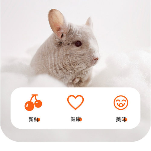 买5送1 龙猫兔子小宠水果干零食 柚子干/苹果/蔓越莓多款健康零食 - 图1