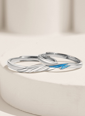 新款飞鸟与鱼情侣戒指一对小众简约情人礼物时尚创意小众设计礼物