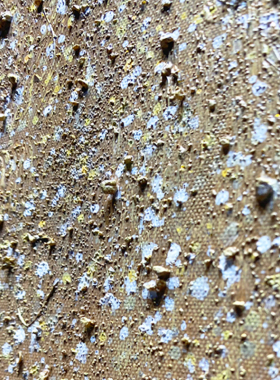 星空金箔装饰画立体轻奢手绘玄关