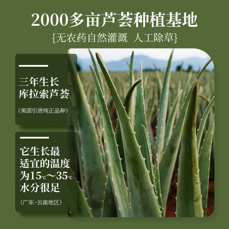 drdm芦荟胶祛痘印坑凝胶膏舒缓面霜 DRDM乳液/面霜