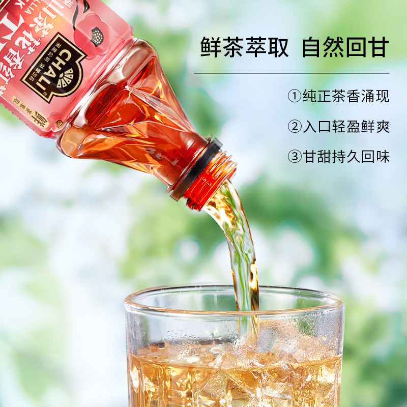 CHALI 茶里公司鸭屎单丛乌龙茶雪梨白茶蜜桃菠萝白茶红茶无糖饮料 - 图3