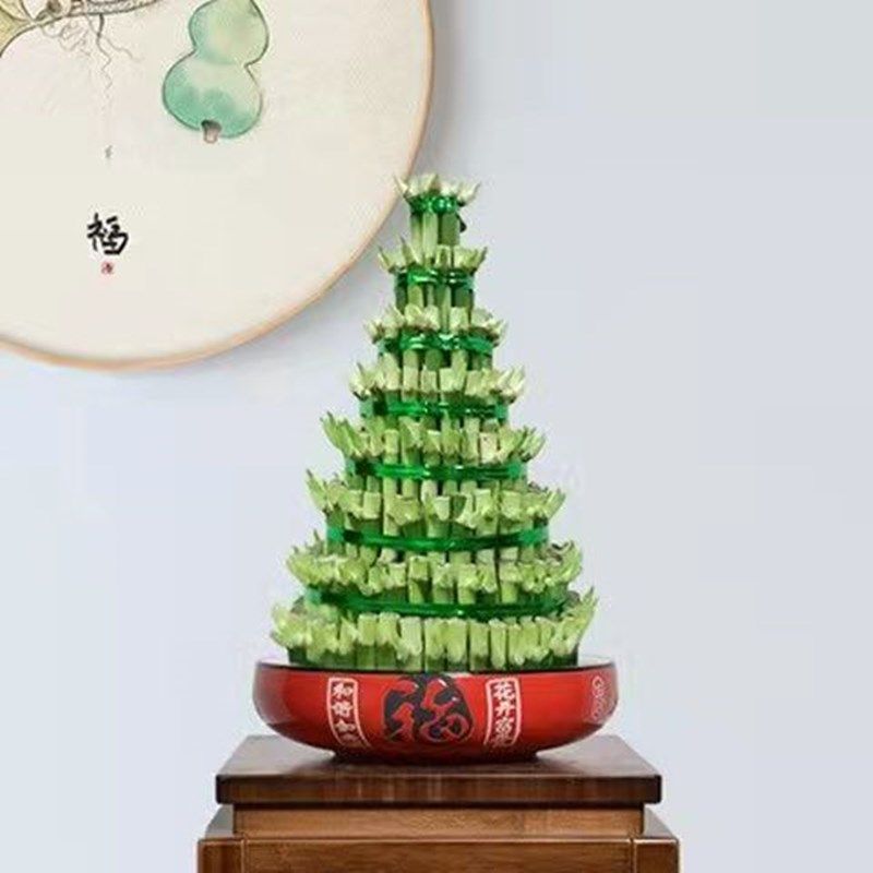 节节高富贵竹塔水培水养植物盆栽竹子观音竹发财富贵竹宝塔竹开运,淘宝优惠券,粉丝福利购,淘宝优惠卷