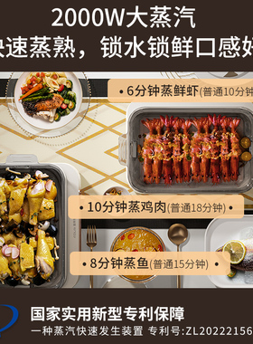 电蒸锅多功能家用大容量三层