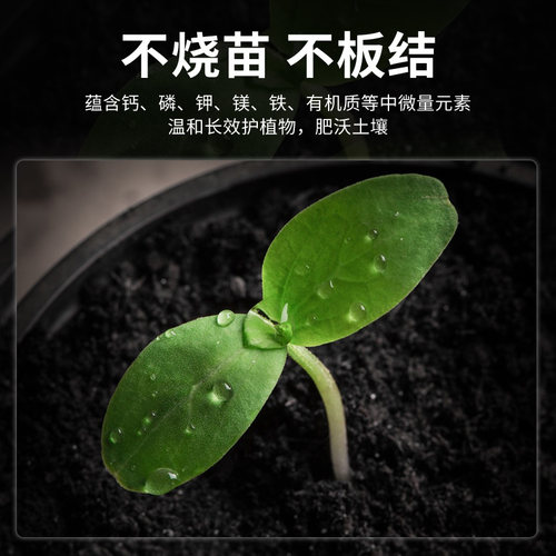 脱脂骨粉园艺花肥料磷钾钙肥开花肥缓释养花有机花肥花卉盆栽通用 - 图0