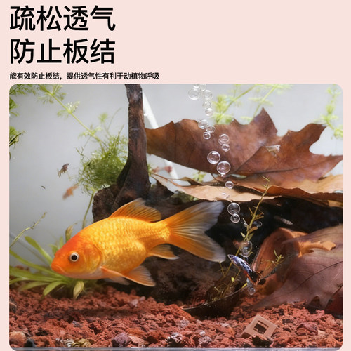 天然火山石颗粒多肉兰花鱼缸底砂专用红火山岩拌土植料花盆铺面石 - 图1