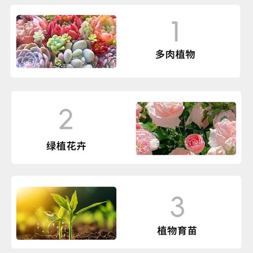 园艺蛭石颗粒育苗扦插花盆栽专用营养土宠物乌龟孵化养花生根利器 - 图3
