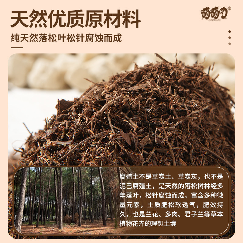 天然松针腐殖土森林腐叶土腐熟君子兰花通用多肉营养土养花专用土,淘宝优惠券,粉丝福利购,淘宝优惠卷
