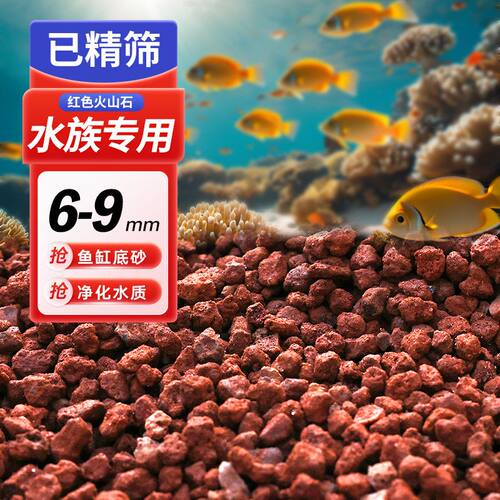 天然火山石多肉种植鱼缸底部砂石水族铺底造景火山岩透气颗粒石 - 图0