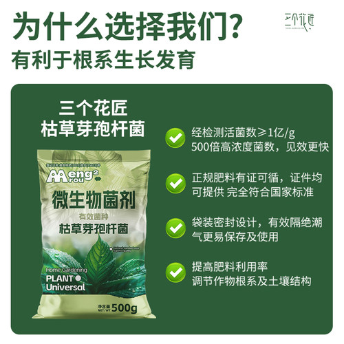 枯草芽孢菌杆菌桂花兰花月季专用农用复合微生物菌剂植物有机肥料 - 图0