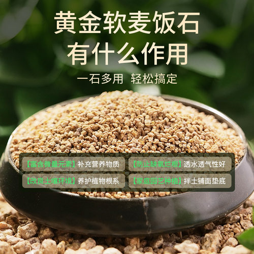 黄金软麦饭石颗粒多肉营养土专用颗粒土壤种植盆栽养花通用铺面石 - 图0