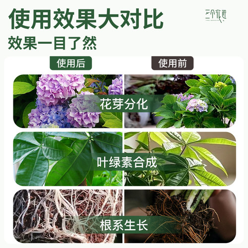 枯草芽孢菌杆菌桂花兰花月季专用农用复合微生物菌剂植物有机肥料 - 图2