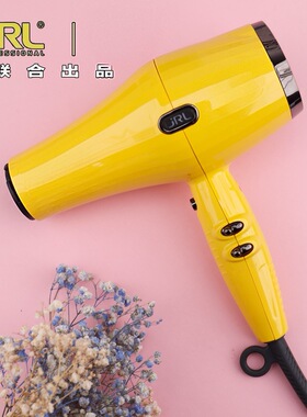 JRLFP2020L专业发廊吹风机