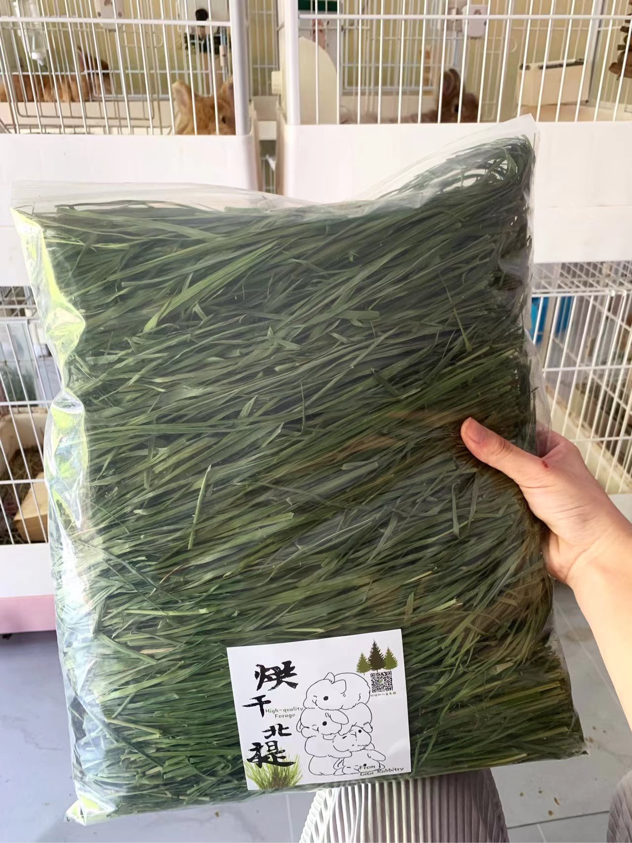 24年北提摩西草烘干精品兔子草荷兰猪龙猫干牧草嫩兔粮磨牙草段 - 图0