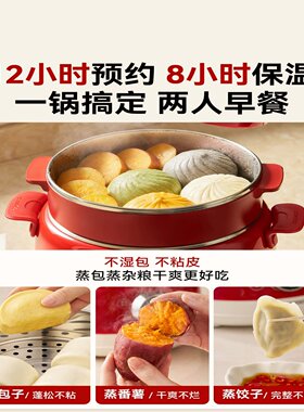 大宇S25电火锅不锈钢内胆电蒸锅