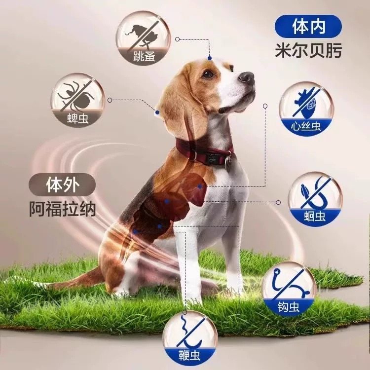 超可信狗狗体内外驱虫药幼小大型犬用体外一体同驱蜱虫跳蚤心丝虫,淘宝优惠券,粉丝福利购,淘宝优惠卷