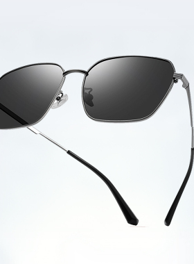 洛伊士新款男士偏光太阳镜