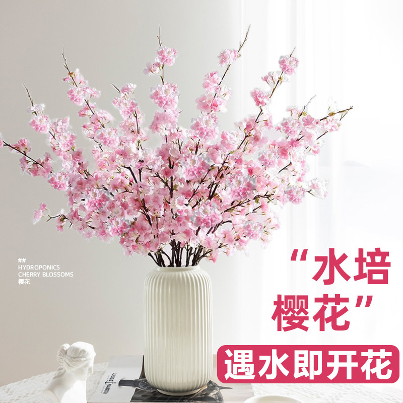 粉色樱花鲜切枝水培植物鲜花云南直发客厅绿植珍珠李鲜切花插瓶花,淘宝优惠券,粉丝福利购,淘宝优惠卷